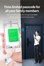 WIFI App Electronic Door Lock  Biometric Fingerprint Door Lock RFID Bluetooth smart Digital Keyless Lock TTlock