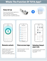 Adjustable Euro Cylinder Smart Lock Tuya BLE Fingerprint IC Card Keys Phone App Home Electronic Door Lock Core Digital Keyless