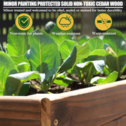 Raised Garden Bed, Outdoor Oversize Planter Box with Liner, Cedar Garden Bed with Legs for Vegetables Flower Herb,