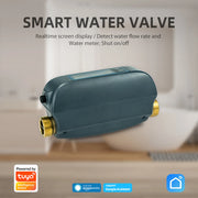 WiFi Water Flow Rate and Water Meter LCD Display Smart Water Valve DN20 Dual-Band Flow Rate Meter Shut On/Off Remote APP Control